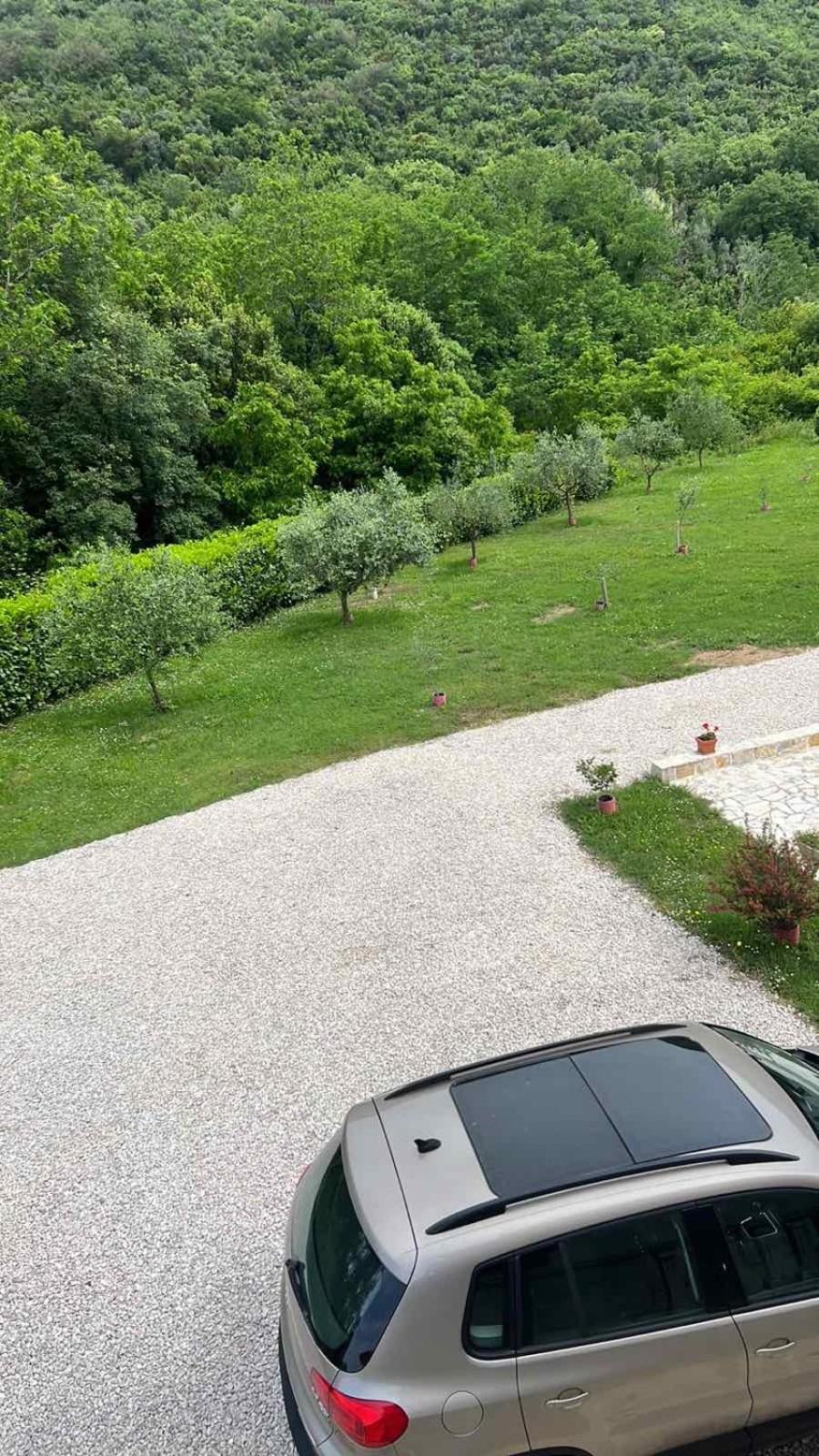 Apartment Elena Tivat Exterior photo