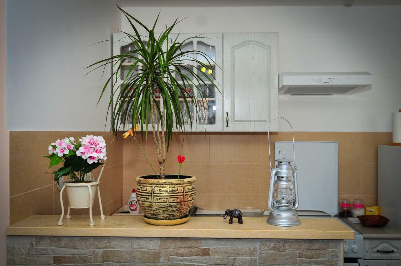 Apartment Elena Tivat Exterior photo